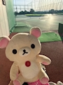 chiko