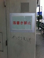 chiko