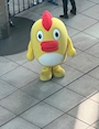 chiko