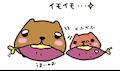 女の子の名前