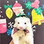 chiko