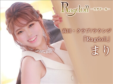 まり Premium Ragdoll・プレミアムラグドール - 上越市高田のクラブ/ラウンジ
