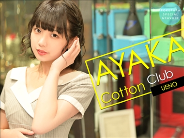 あやか Cotton Club・コットンクラブ - 上野のキャバクラ