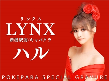 ハルナ LYNX・リンクス - 新潟駅前のキャバクラ