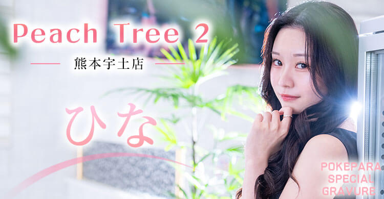 九州 Peach Tree 2 熊本宇土店
