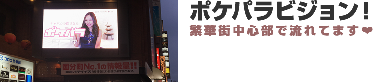 ポケパラビジョン