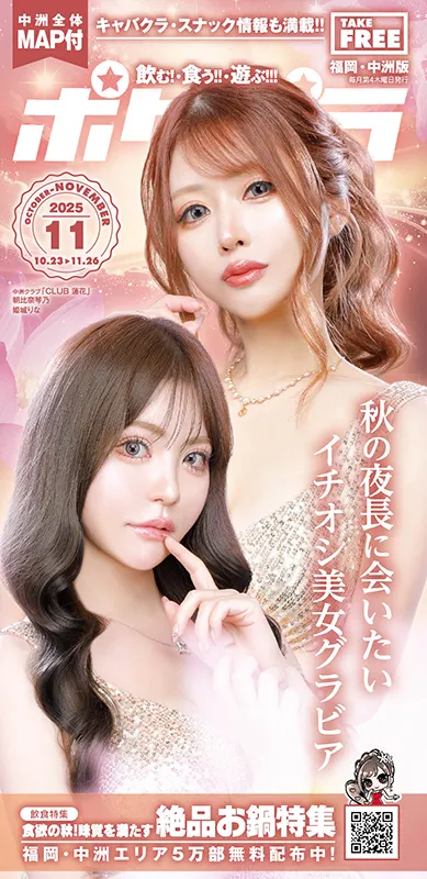 ポケパラ宣伝雑誌11月号