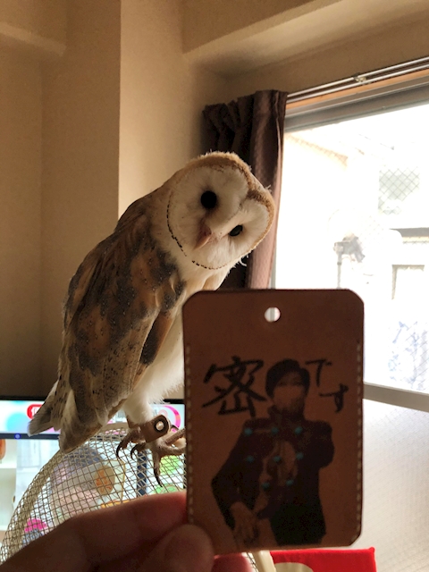 しぐれパパ