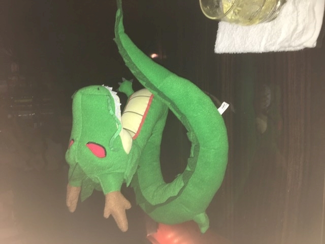 双龍