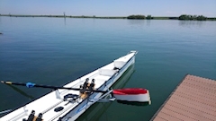 ストレス発散中