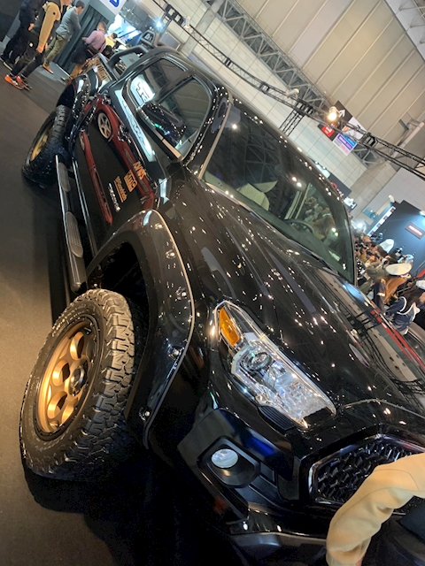 310ta
