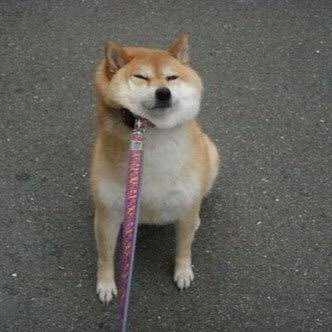やっちお