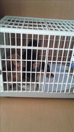 （退会ユーザー）