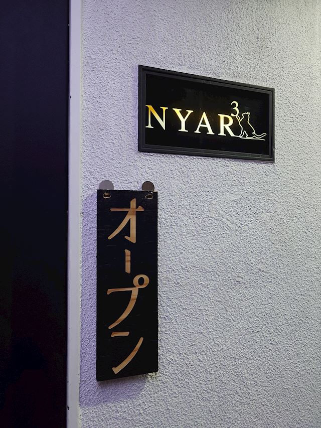 体験談画像