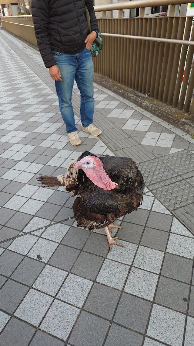 体験談画像