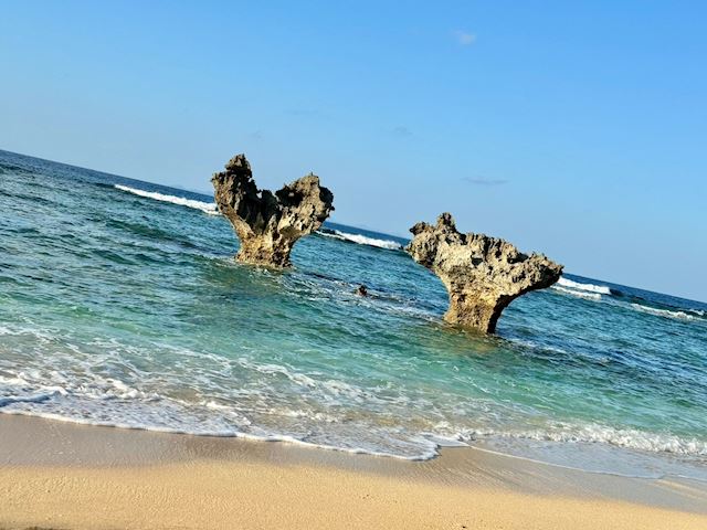 体験談画像