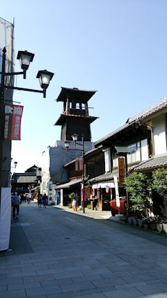 埼玉の白猫黒猫