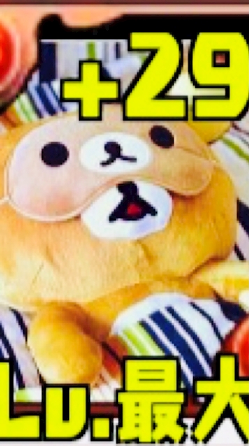 ブラッククマ様