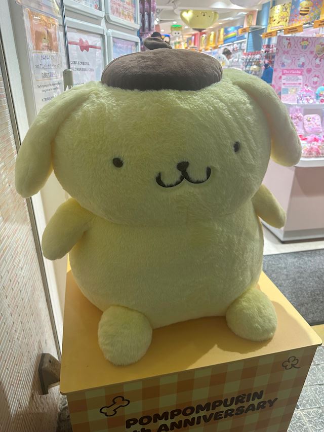 体験談画像
