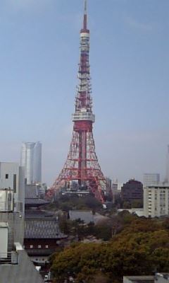 体験談画像