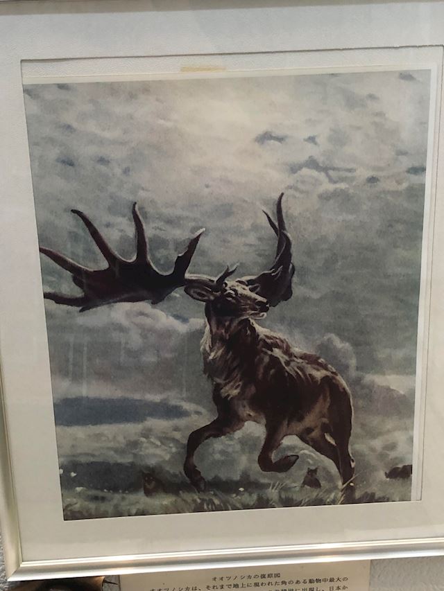 体験談画像