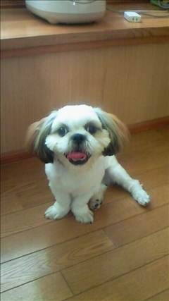 人生風まかせ・りょう