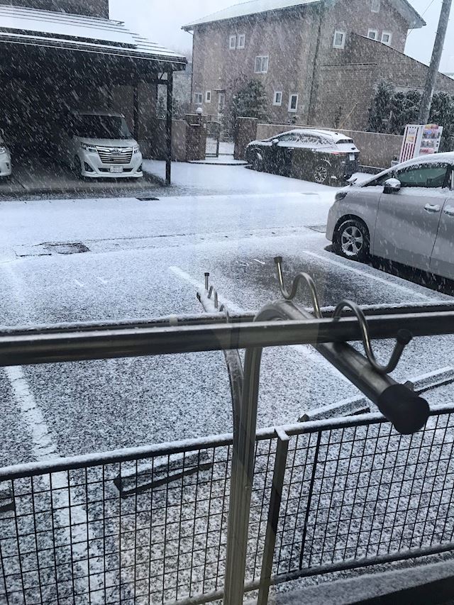 体験談画像