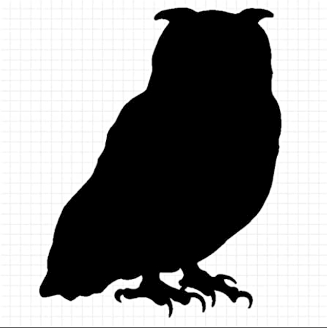 #Night Owl