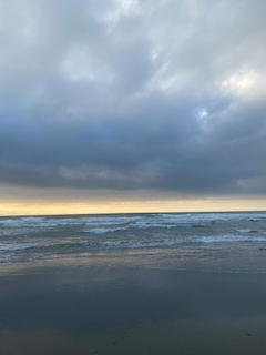 ニャンチュー人狼??