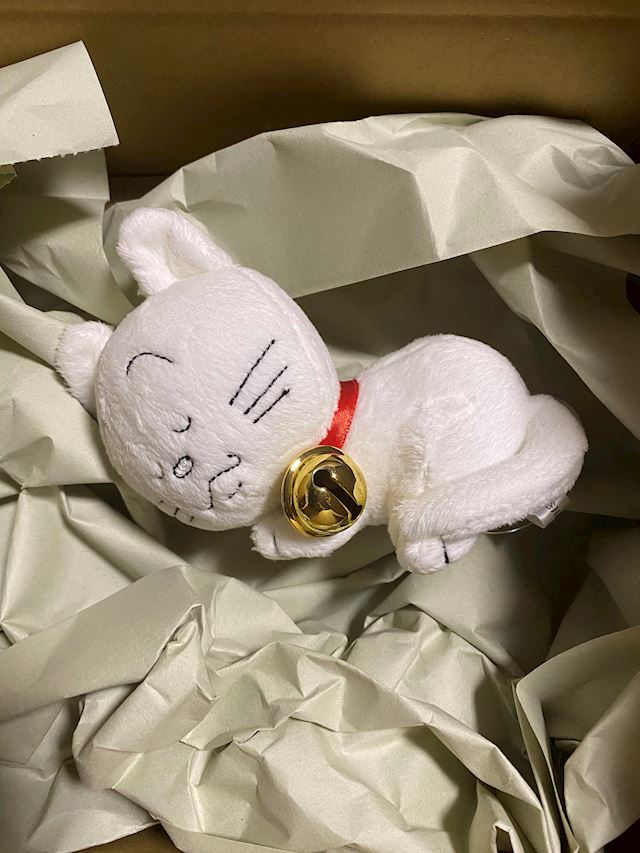 体験談画像