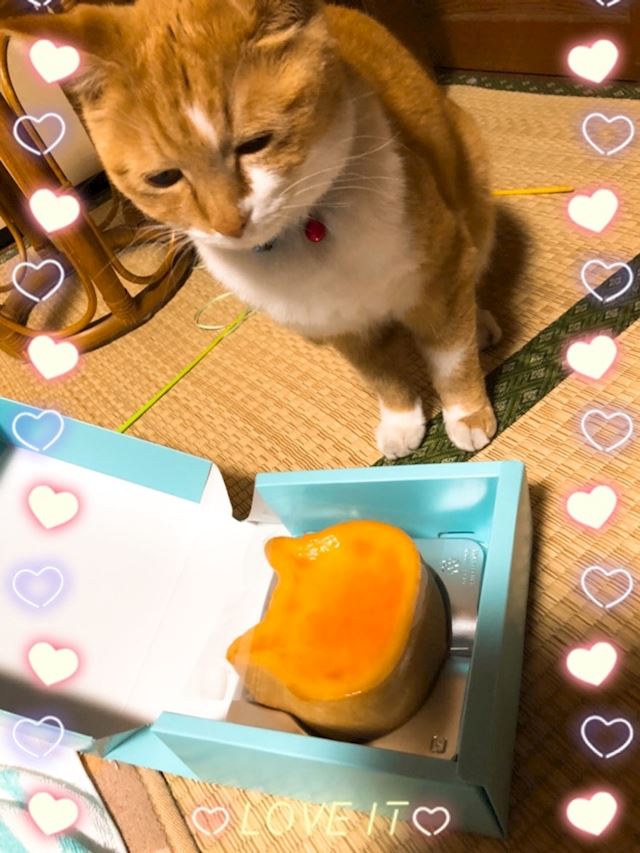 体験談画像