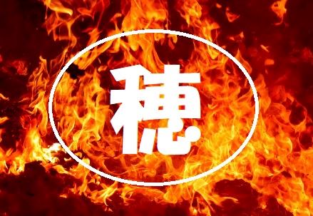 体験談画像