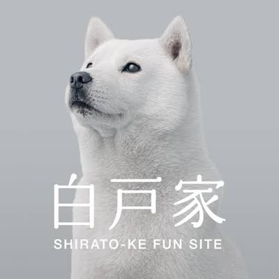 _memberNameHeader