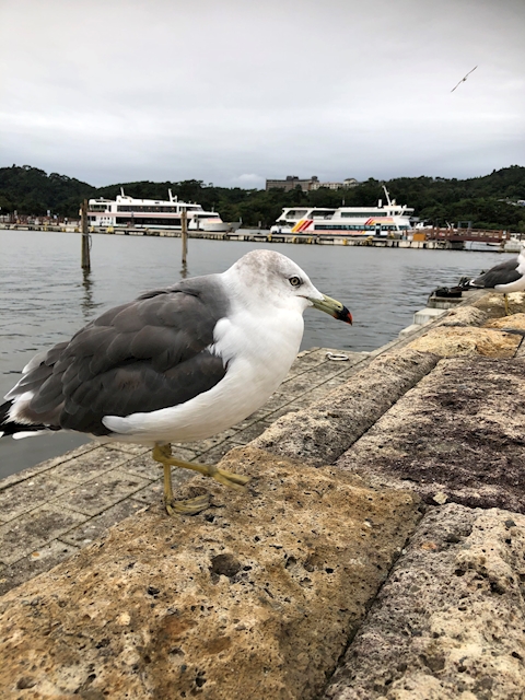 宮城県太