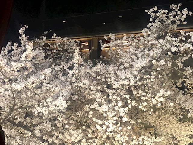 体験談画像