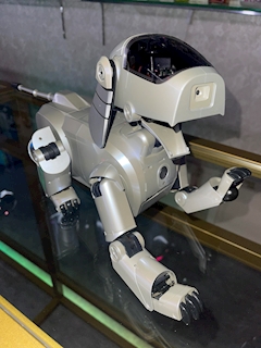 シャンパンニキ