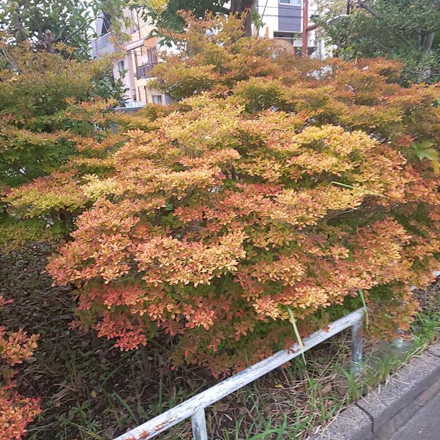 体験談画像