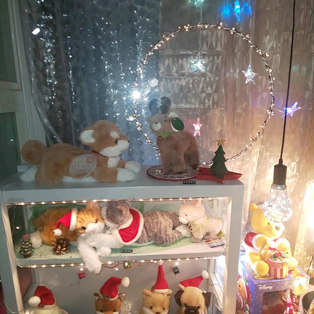 体験談画像