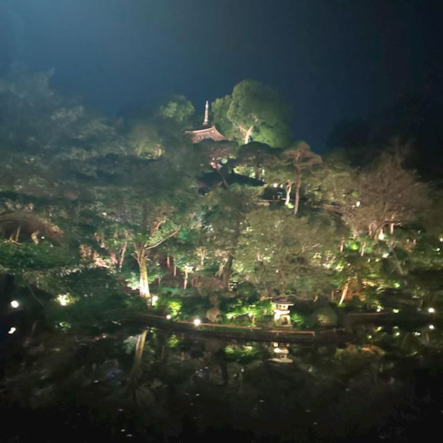 体験談画像