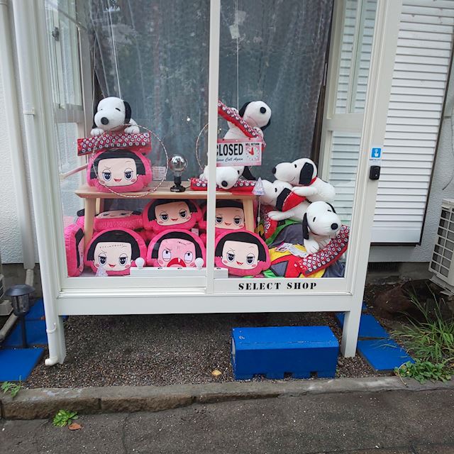 体験談画像