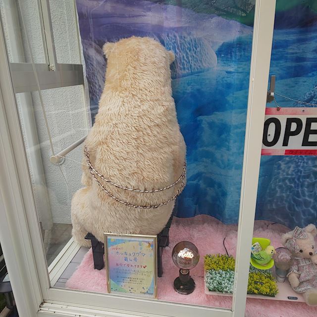 体験談画像