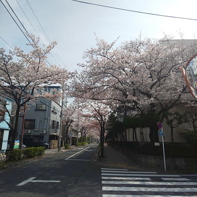 体験談画像