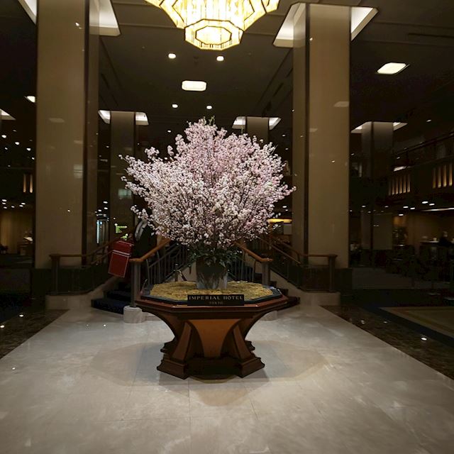 体験談画像