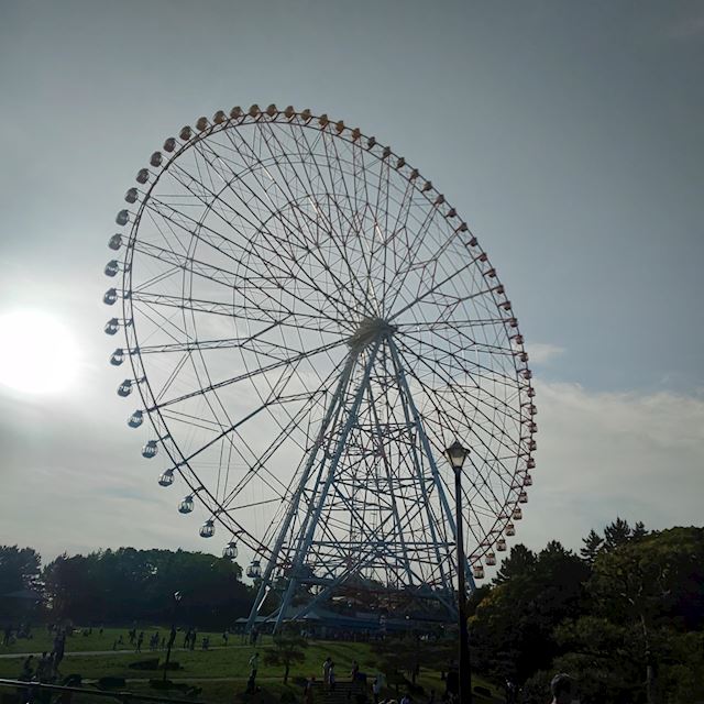 体験談画像