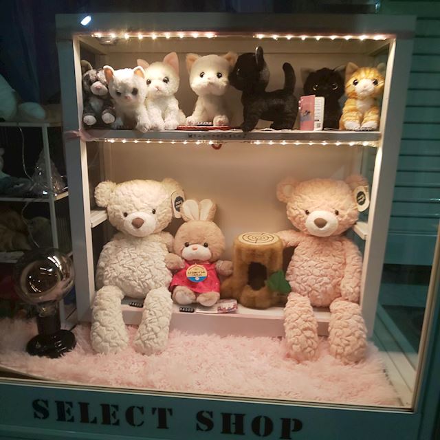 体験談画像