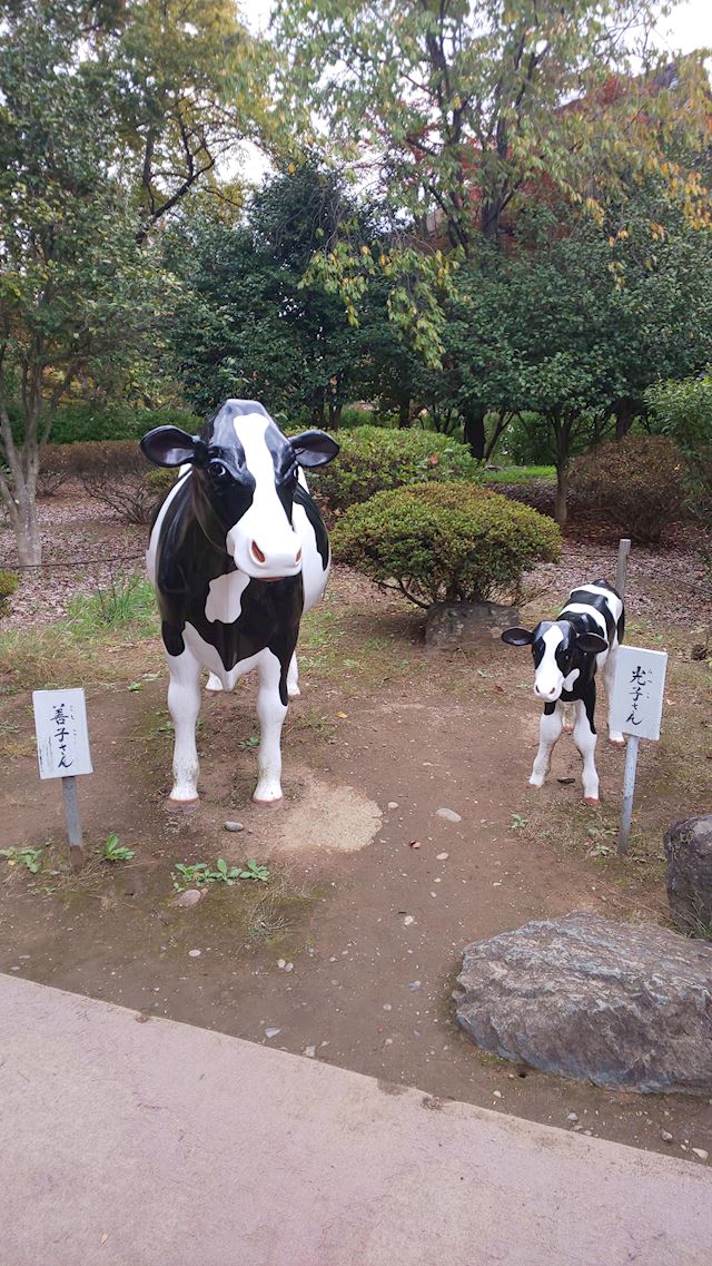 体験談画像