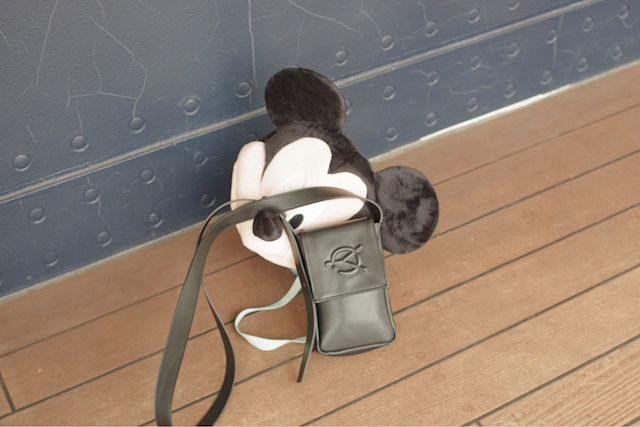 猫りゅーく