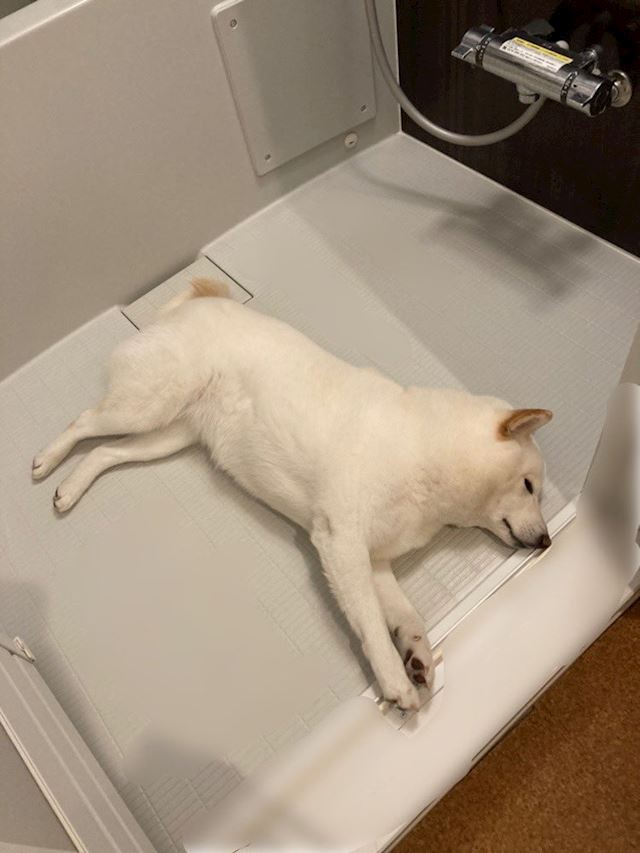 体験談画像
