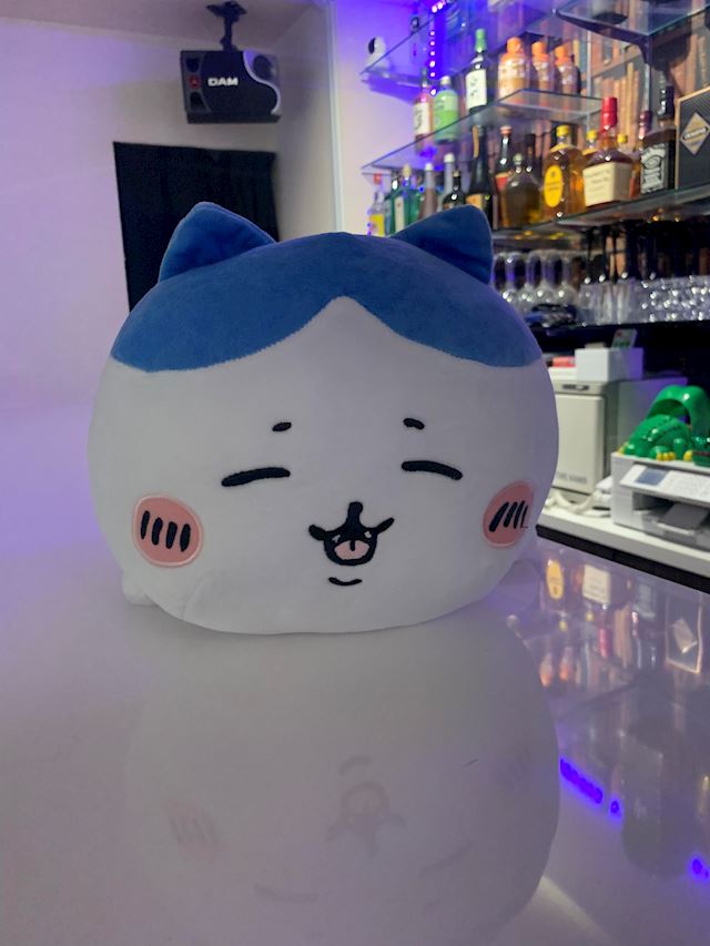 体験談画像