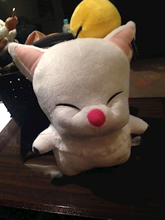 名もなき野良猫